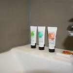 Amosa Centre Regence 10 דירה לייז'